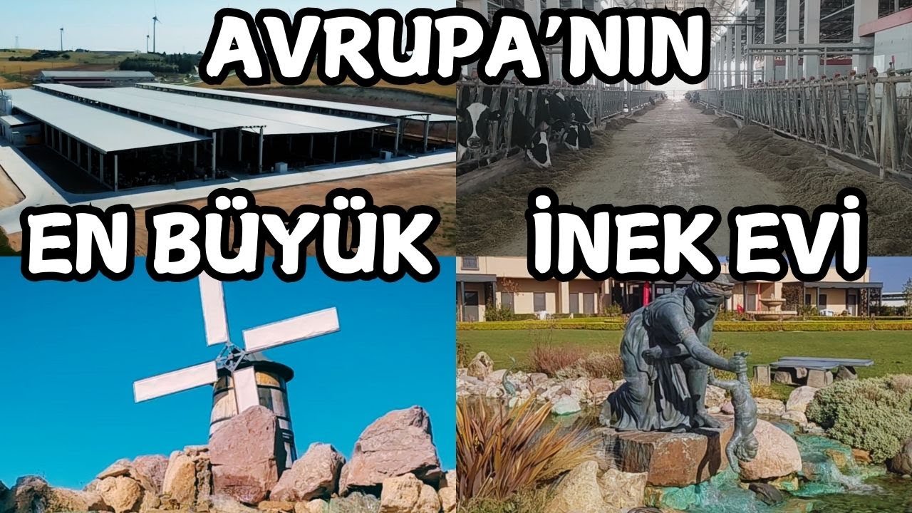 Avrupa'nın En Büyük Ahırı - Uluova Çiftliği - Çanakkale