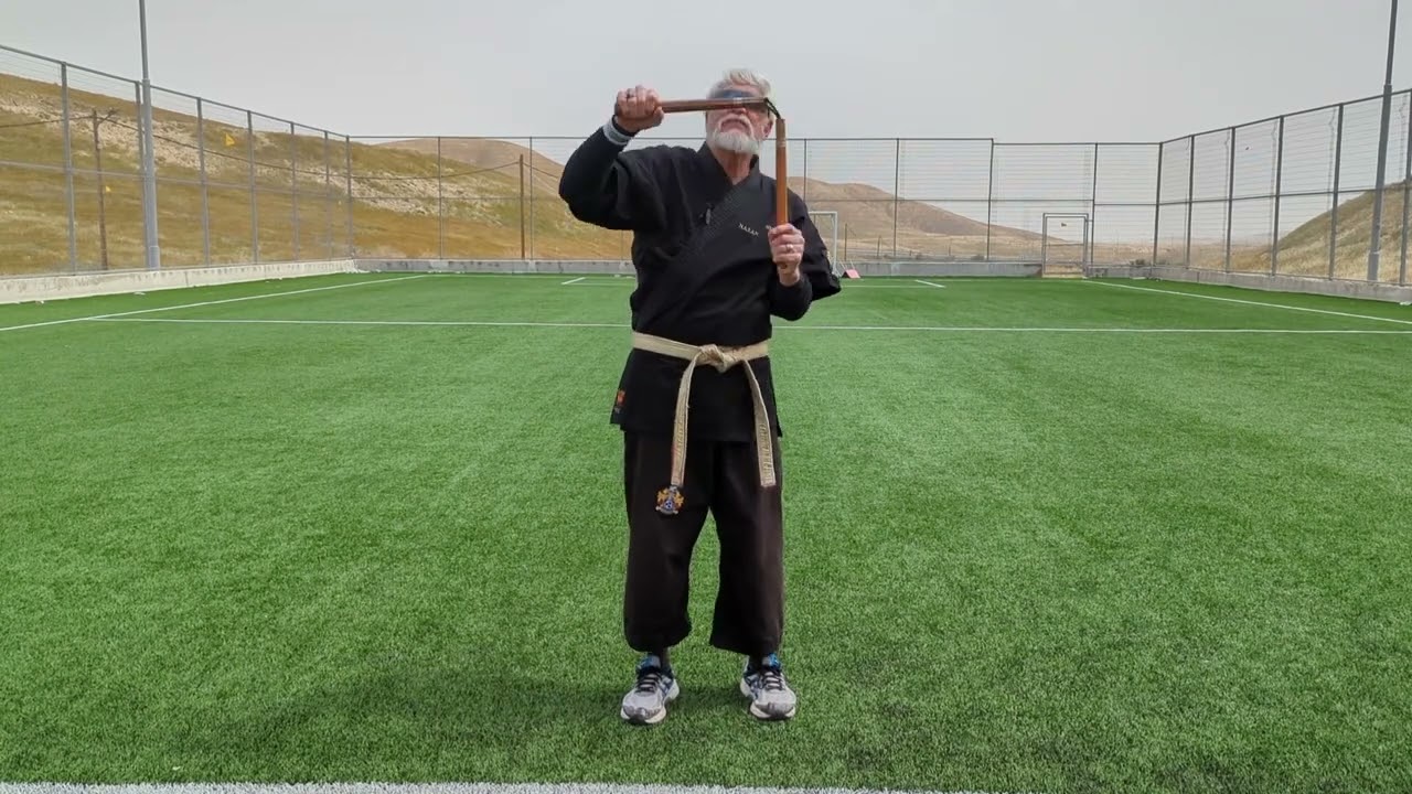 Seiyu Oyata's Original Nunchaku Kihon as Taught to D'veed Natan 26 years ago. AND Some Harsh Facts.