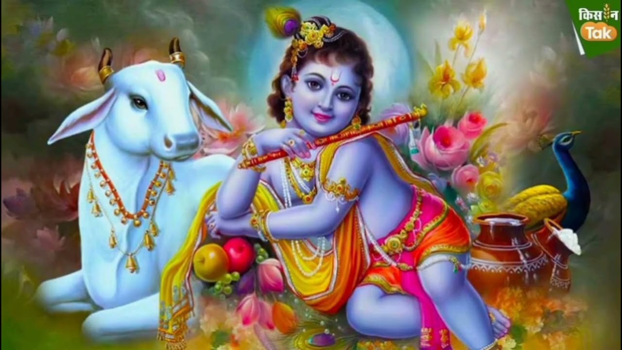 भजन गीत 🌺🌺 कृष्णा भजन 💐💐 तेरे चेहरे में कोई जादू है 🌹🌹 सुनिए और सपोर्ट कीजिए 🙏🙏