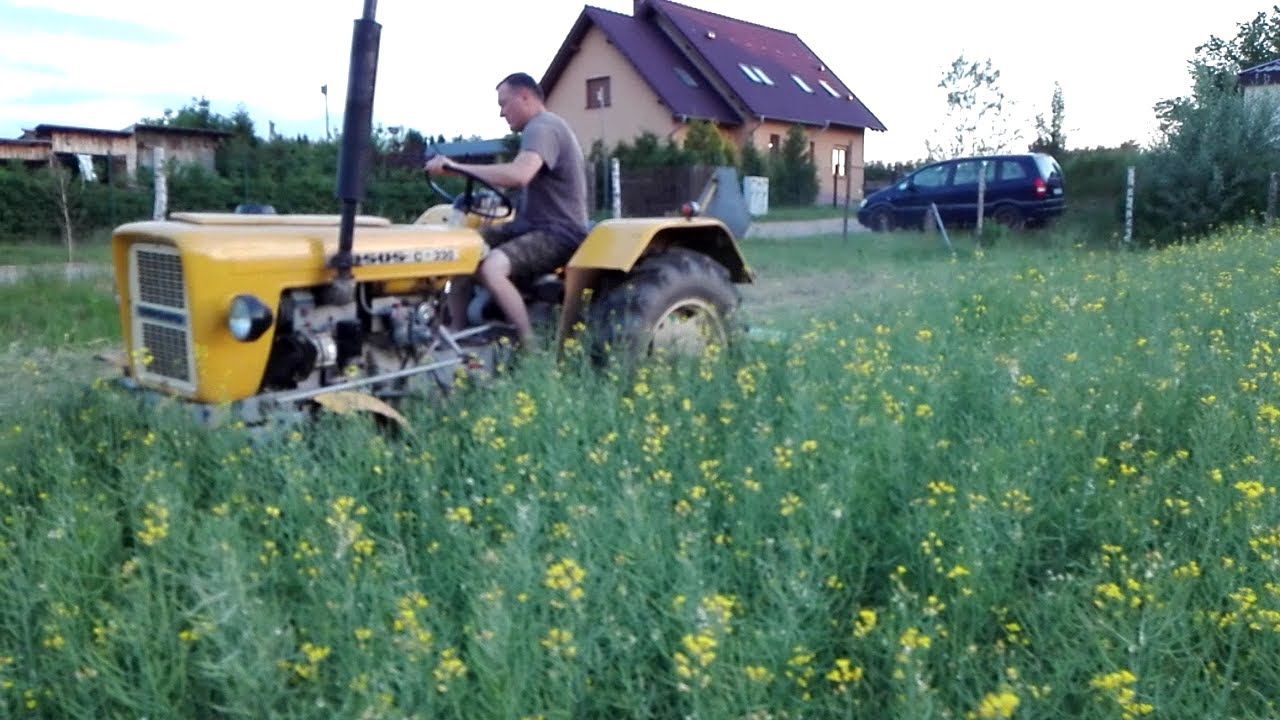 Rzepak na poplon#glebogrzarka w akcji