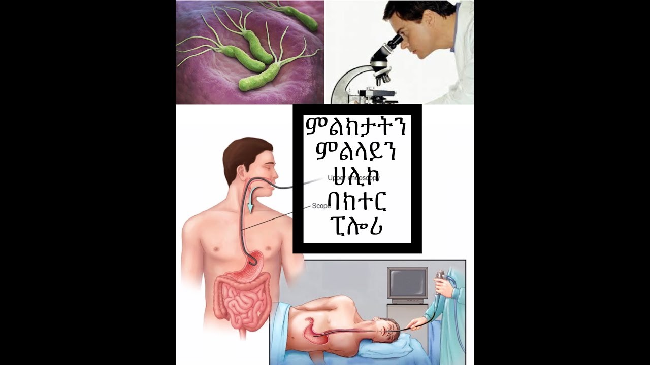 Symptoms and Diagnosis of Helicobacter Infection