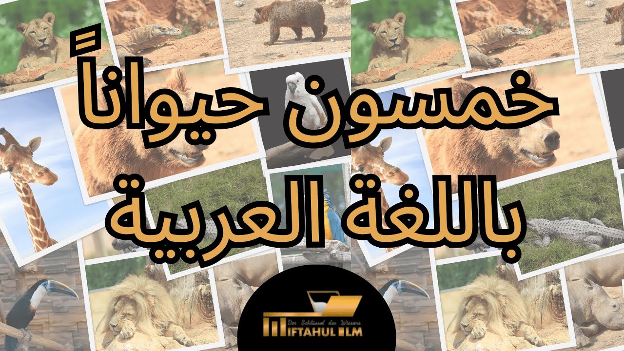 خمسون حيواناً باللغة العربية | تعليم أصوات الحيوانات و أسماء الحيوانات