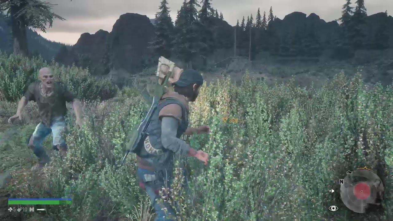 Days Gone Gameplay