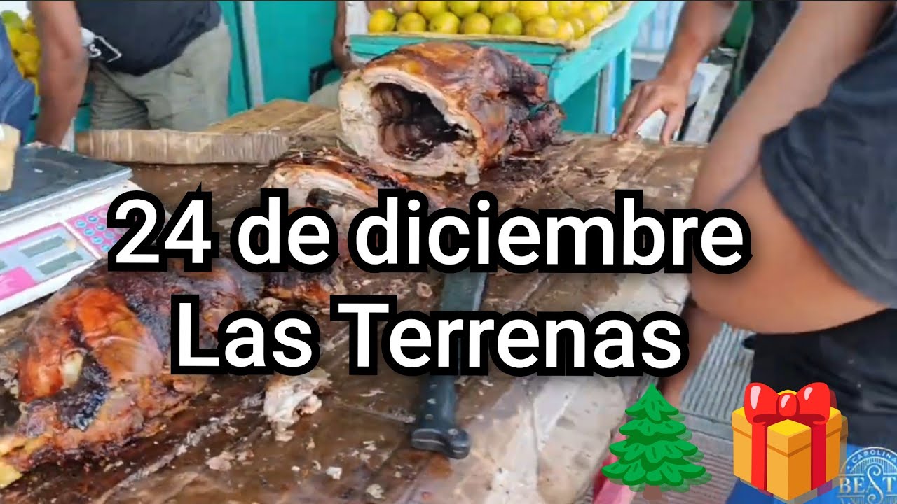Navidad en Las Terrenas: tradición del cerdo #lasterrenas #navidad #noticias 