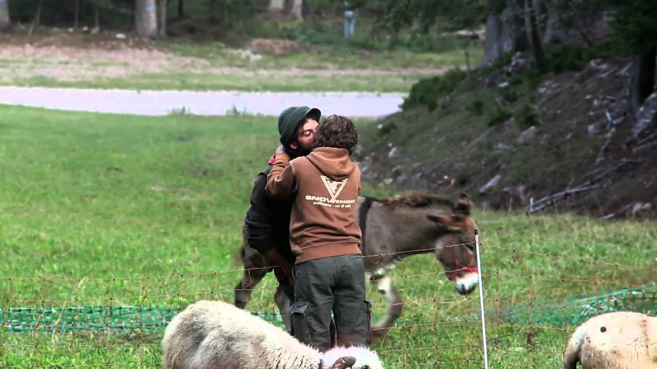 I trailer del 61° Trento Film Festival | La strada di Denis