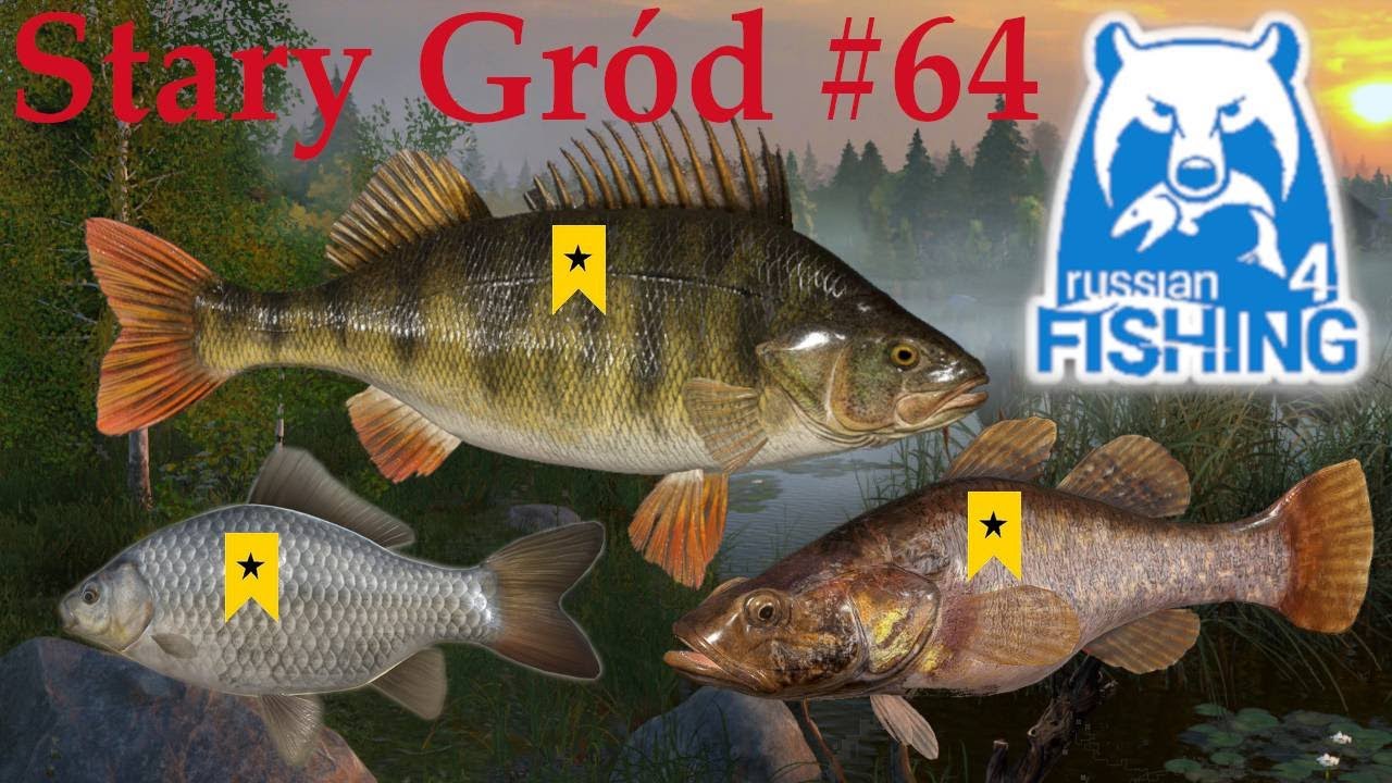Russian Fishing 4 - Okazy Trawianki Okonia i Karasia Aktywny spot Jezioro Stary Gród #64
