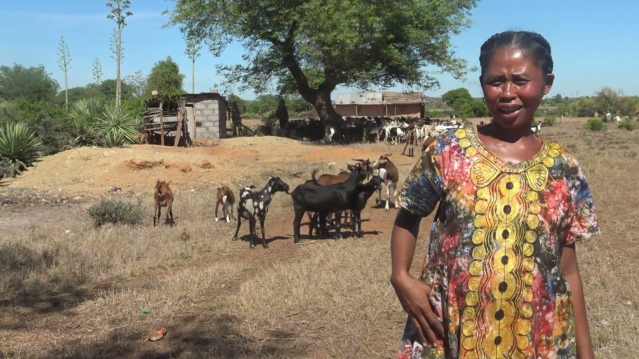 MINAE – PROGRES : Tanora mpandraharaha ara-pamokarana no vahaolana.