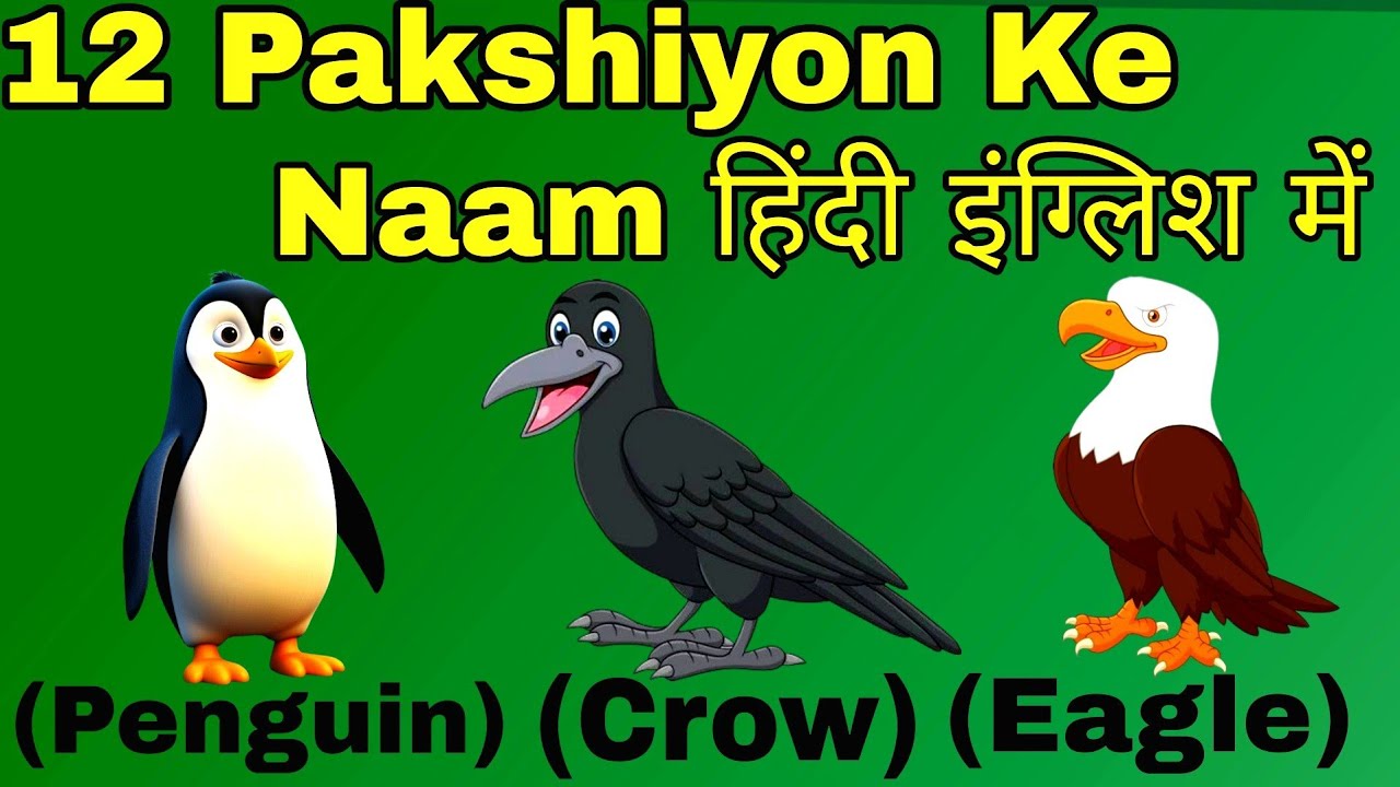 12 पक्षियों के नाम हिंदी और इंग्लिश में | Pakshiyon Ke Naam Hindi English Mein | Birds Name for Kids