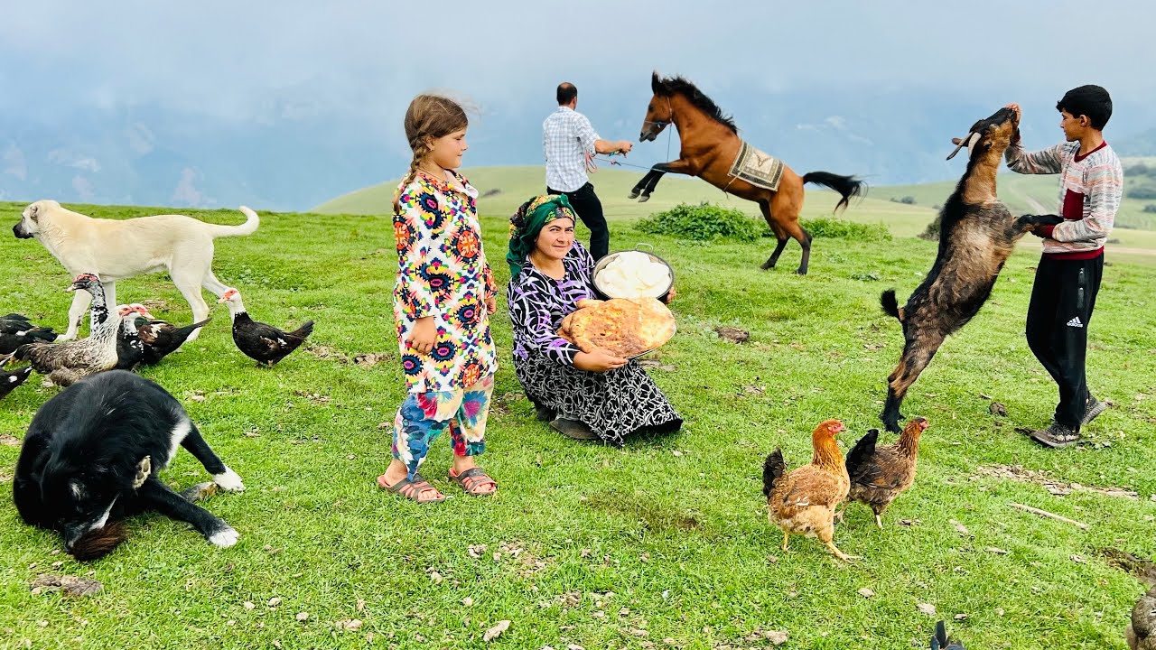 Milking Cows and Preparing Cheese, Rebuilding Oven with Clay for Baking Bread
