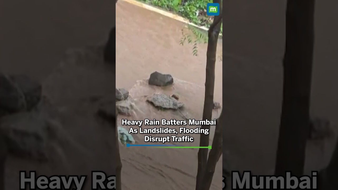Mumbai Rain: IMD Issues Red Alert As Flooding, Landslides Disrupt Trains And Traffic