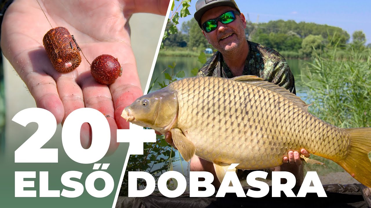 20+ első dobásra😄🐟