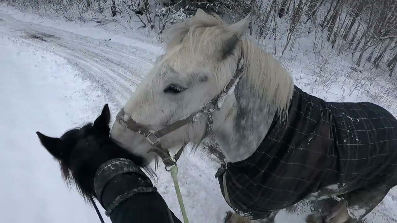 Rir fra jobb, barbak, med grime med Kasper på tamp :D GOPRO VIDEO