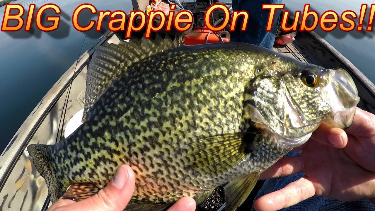 Crappie Fishing - This Is How You Catch BIG crappie On Tube Jigs…