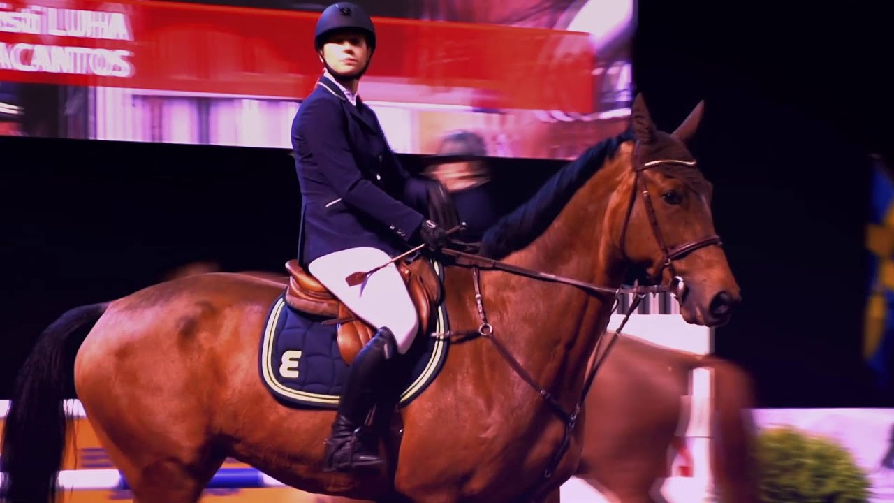 Tallinn International Horse Show 2015 - emotions