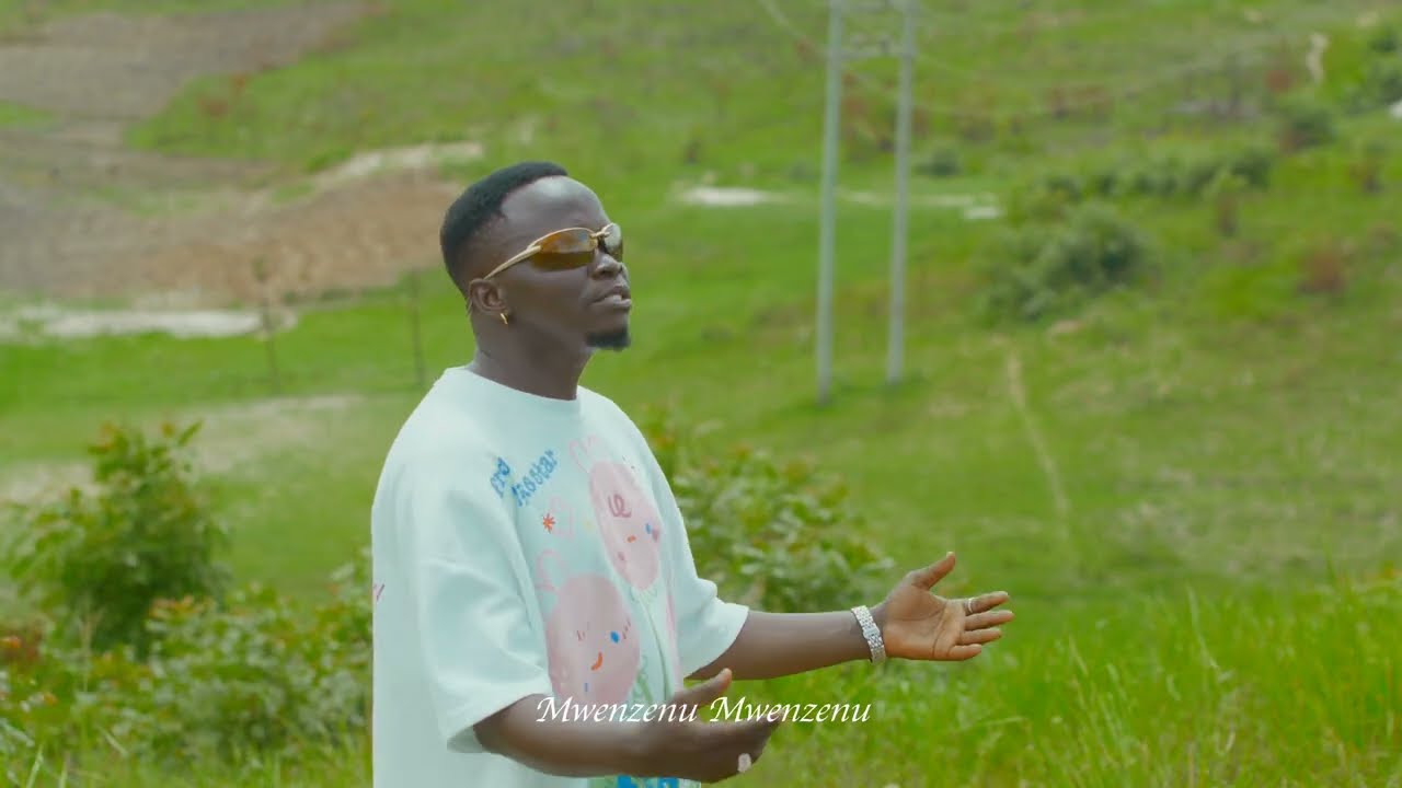 Parla tz - Umeniweza(Official visualizer) 