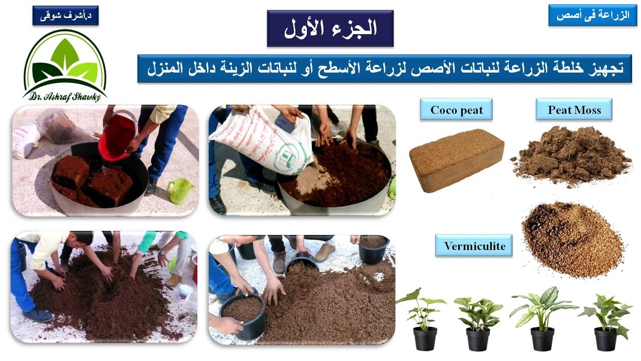 (51) فيديو تعليمي | خلطة زراعة نباتات الزينة داخل المنزل والأسطح (بيتموس او كوكوبيت مع فيرمكيوليت)