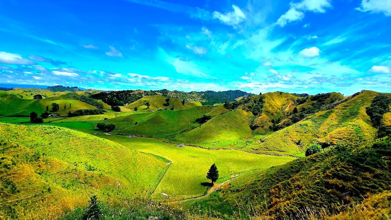 New Zealand's Countryside #roadtrip#foryou#fyp#dpkamnoj#nzbeauty