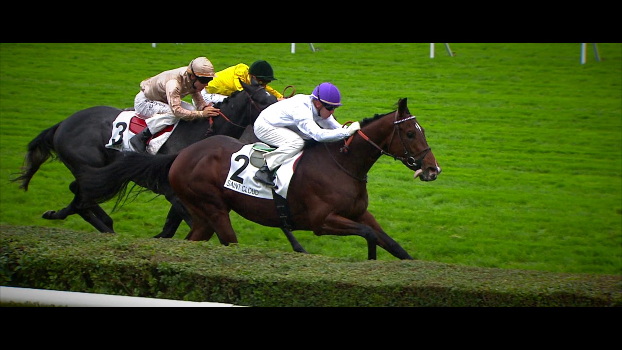 Ecurie des Monceaux