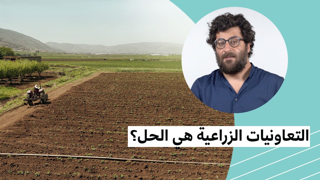 التعاونيات الزراعية هل هي الحل؟