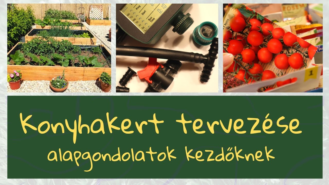 Konyhakert tervezése  - alapgondolatok kezdőknek