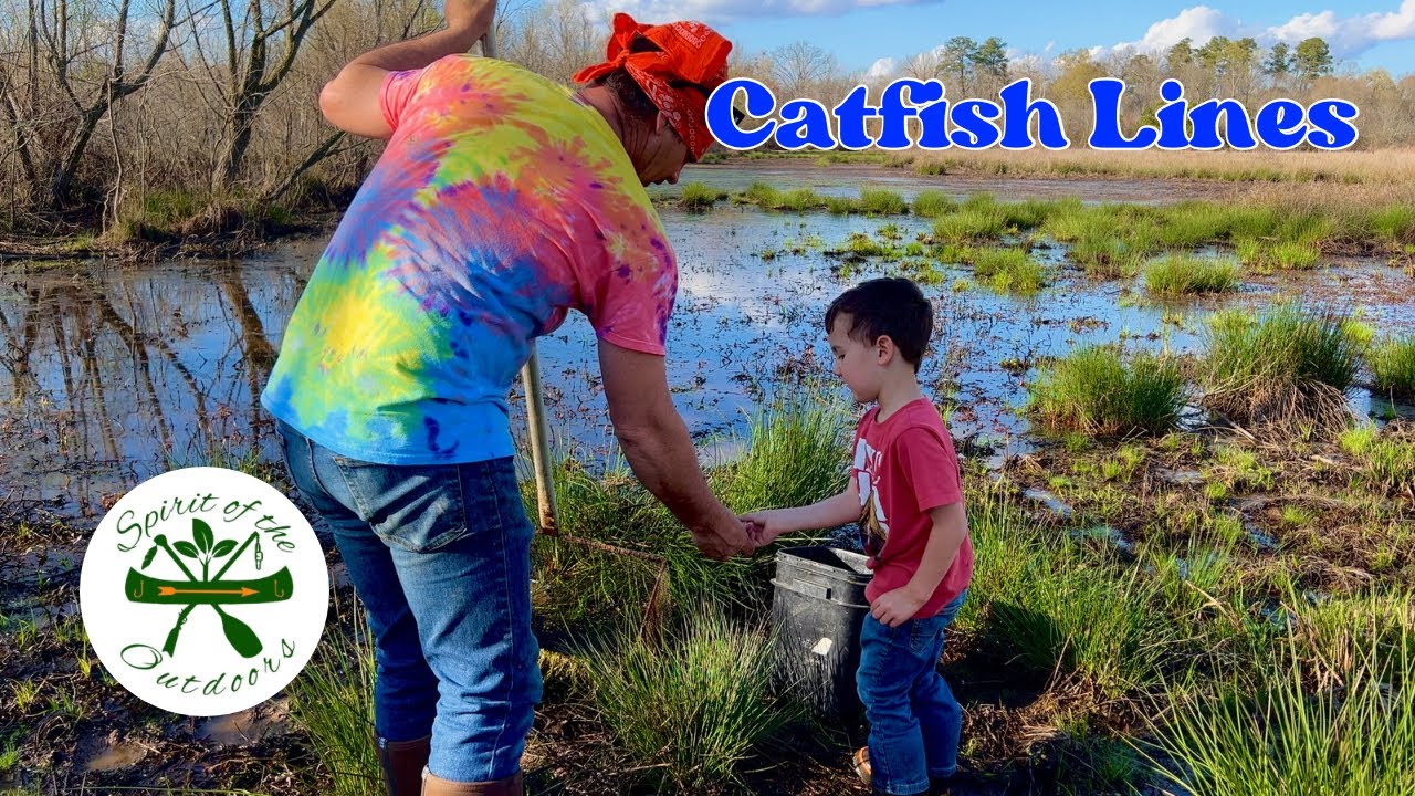 Catfish Lines