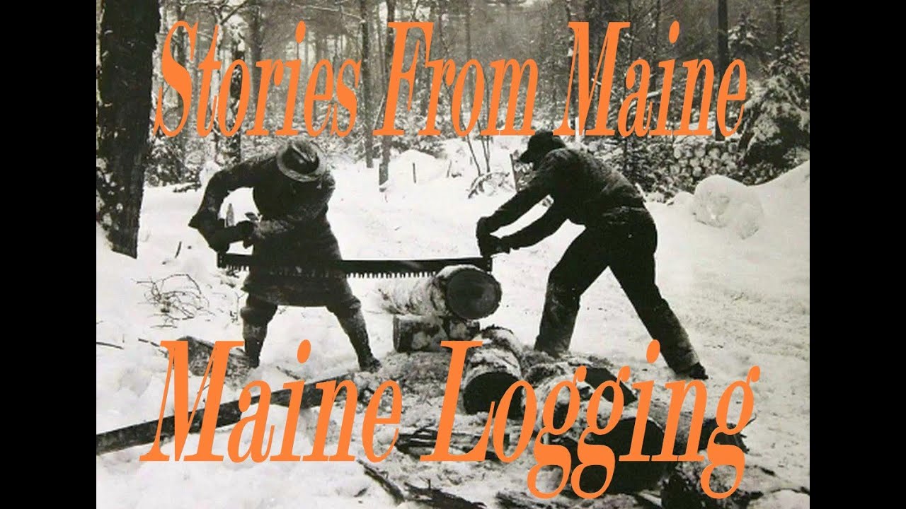 Stories From Maine: Maine Logging.