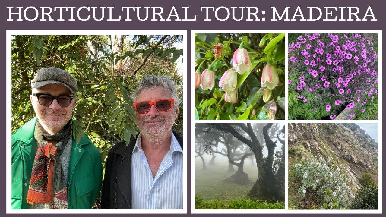 Horticultural tour: the island of Madeira