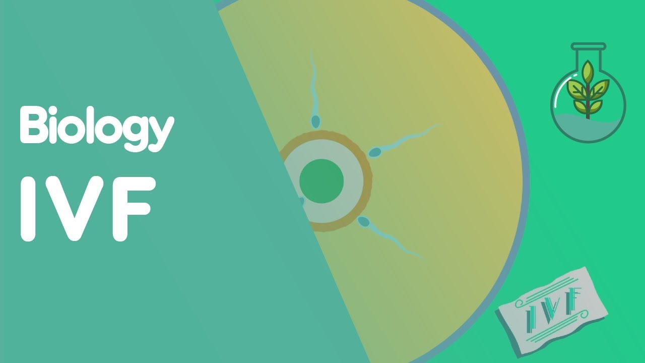 IVF | Health | Biology | FuseSchool