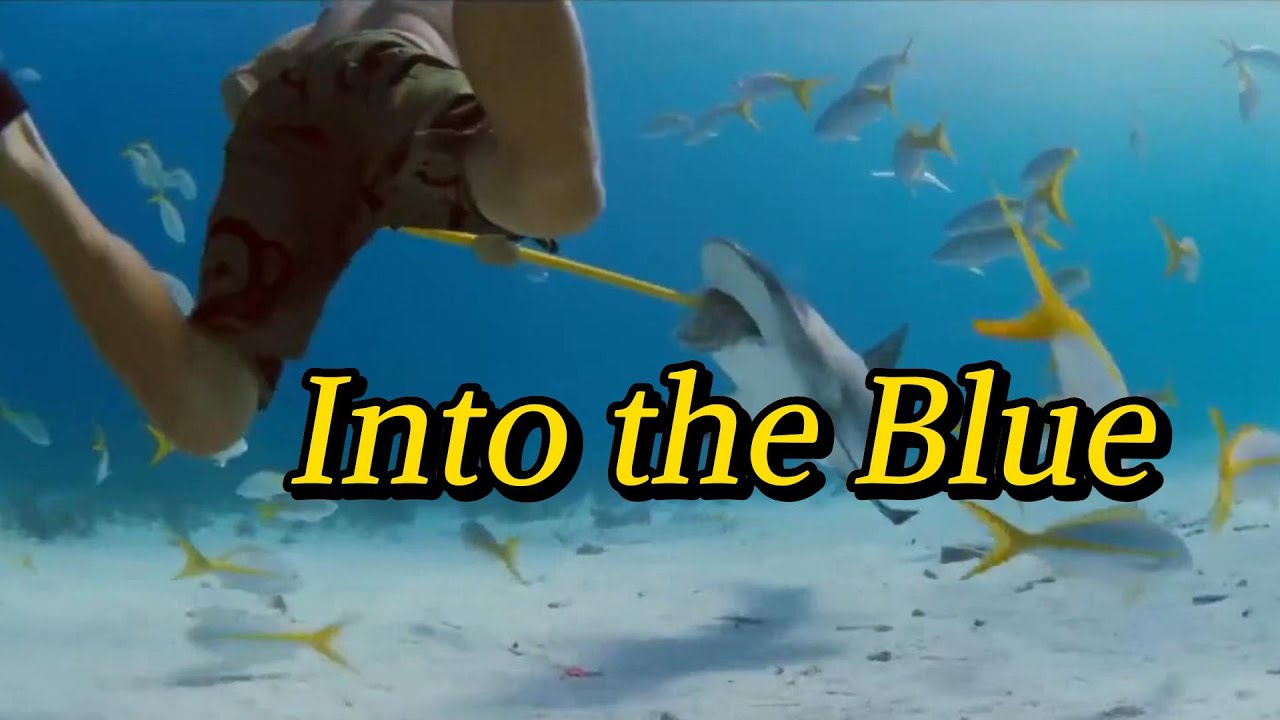 Into the Blue，Paul Walker Adventure Film, Diving Discovers 600 Million Treasures