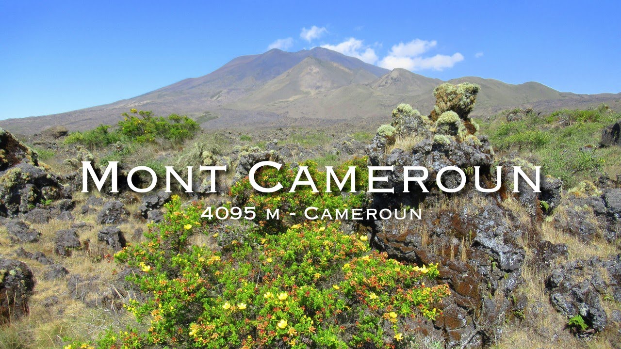 Expedition : MONT CAMEROUN (4095 m) - Cameroun 🇨🇲