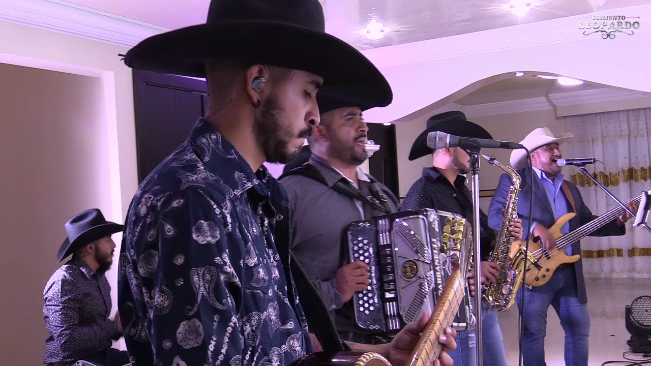 Conjunto Leopardo - Actos de un Tonto (Live Session)