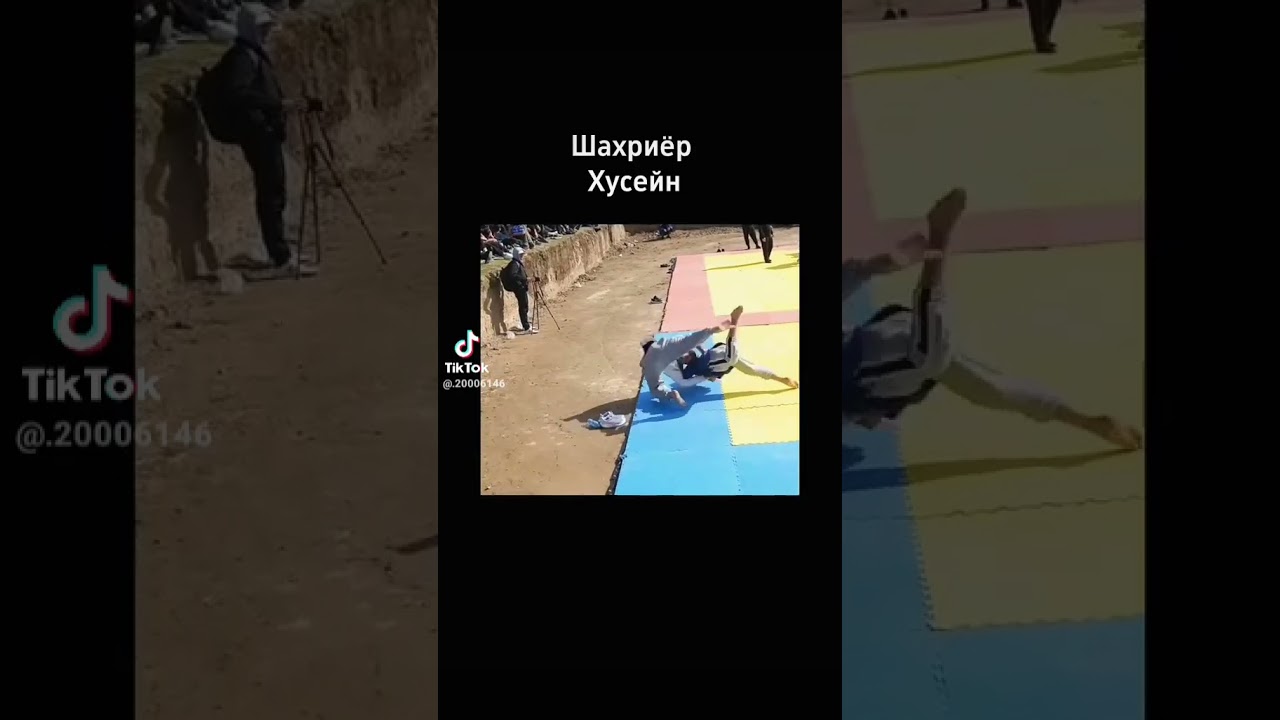 гуштини Темурмалик