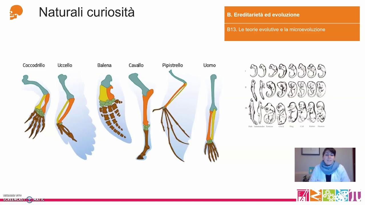 B13. Ereditarietà ed evoluzione - Le teorie evolutive e la microevoluzione