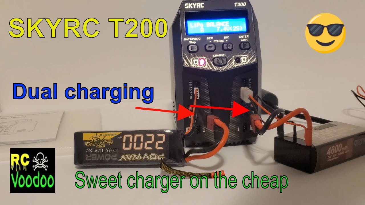 SKYRC T200 dual battery charger