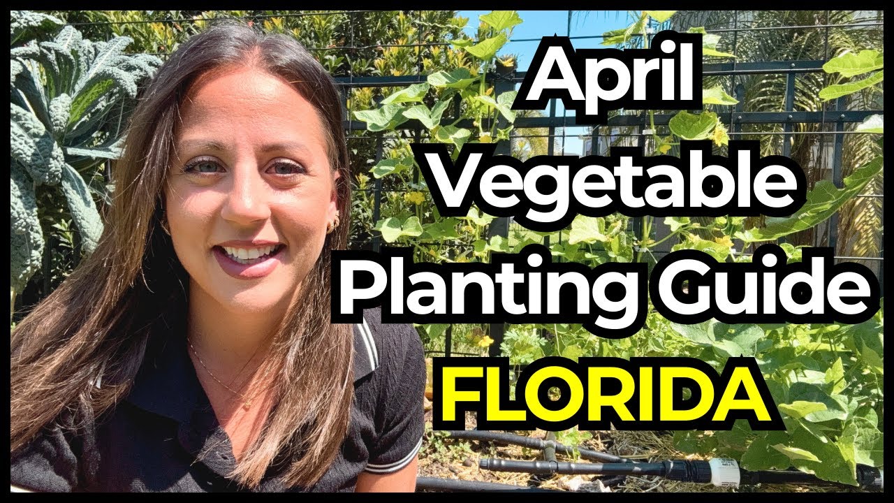15 Crops Every Florida Gardener Should Plant in April