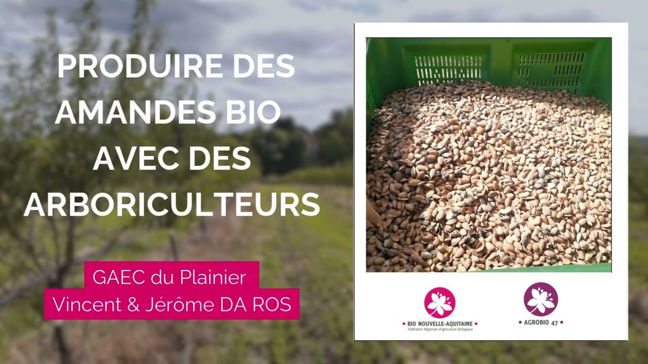 Produire des amandes bio avec des arboriculteurs du Lot-et-Garonne