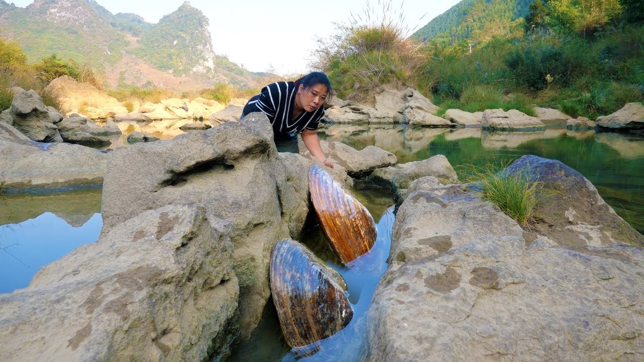 The big river clam appeared in a narrow crevice, and the girl discovered their pearl treasure