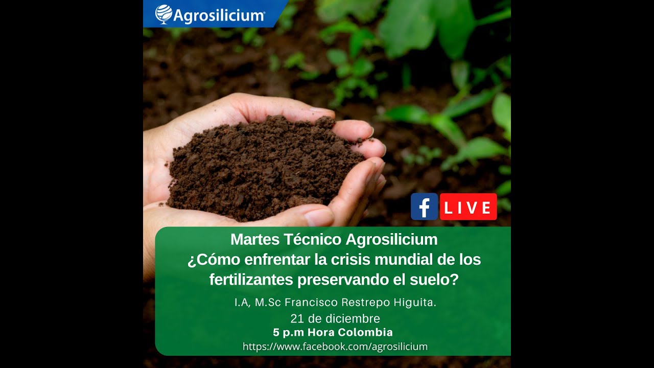 ¿Cómo enfrentar la crisis mundial de los fertilizantes y preservar el suelo?