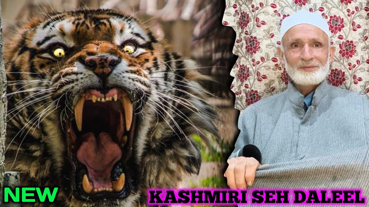 KASHMIRI SEH DALEEL | KASHMIRI REAL LIFE STORY |DANGEROUS TIGER IN FOREST 😱