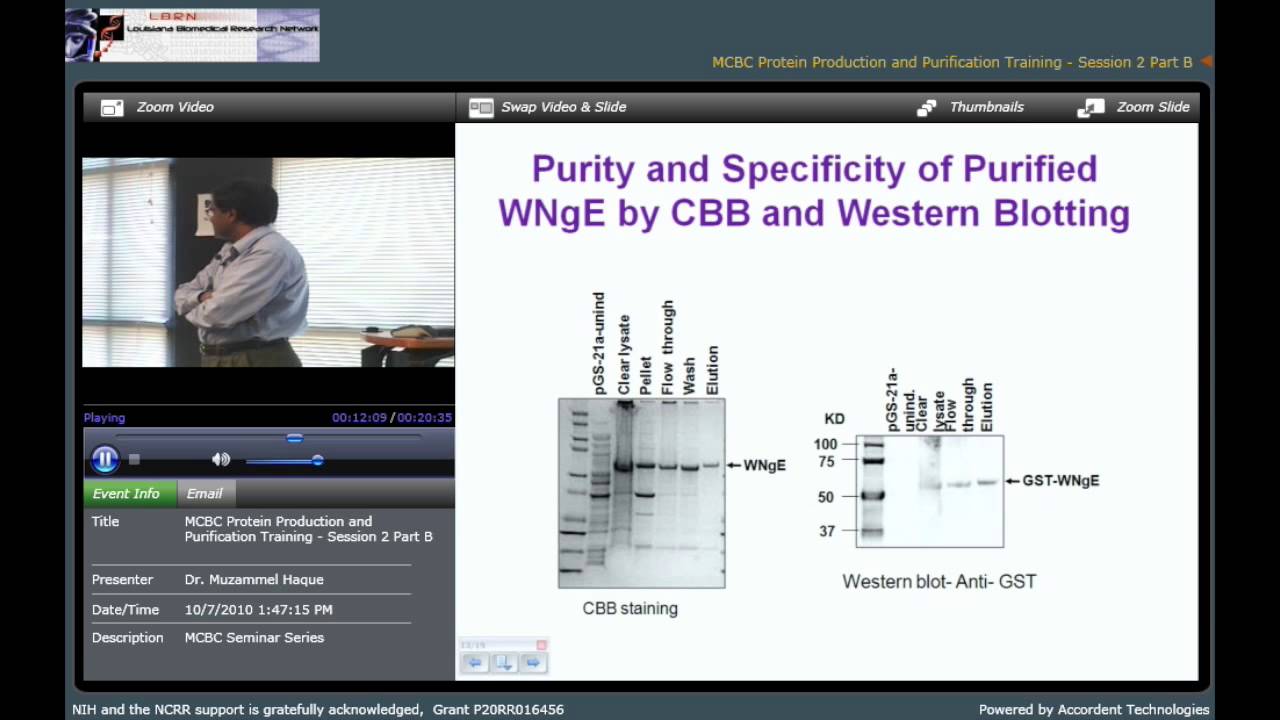 Detailed Operation of Protein Purification Using the BioRad Profinia System