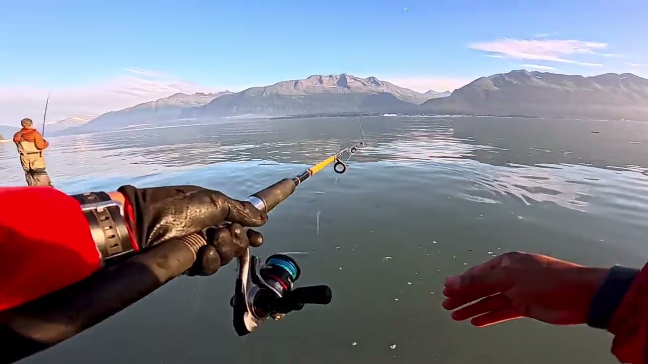 Silver Salmon Fishing Valdez Alaska #alaska #fishing #salmon #salmonfishing #valdez 