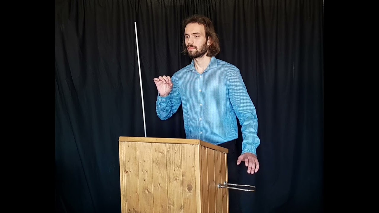 The Swan. Camille Saint-Saëns | D-Lev theremin