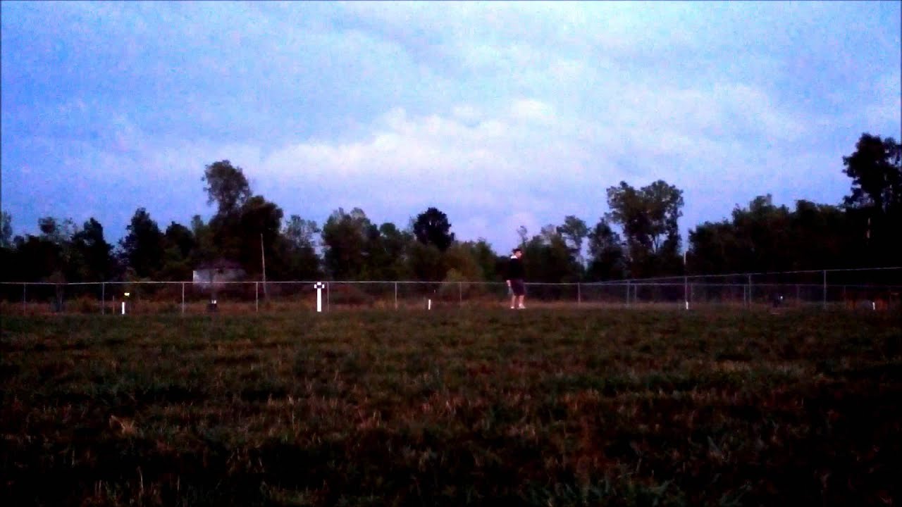 Super Fast Border Collie