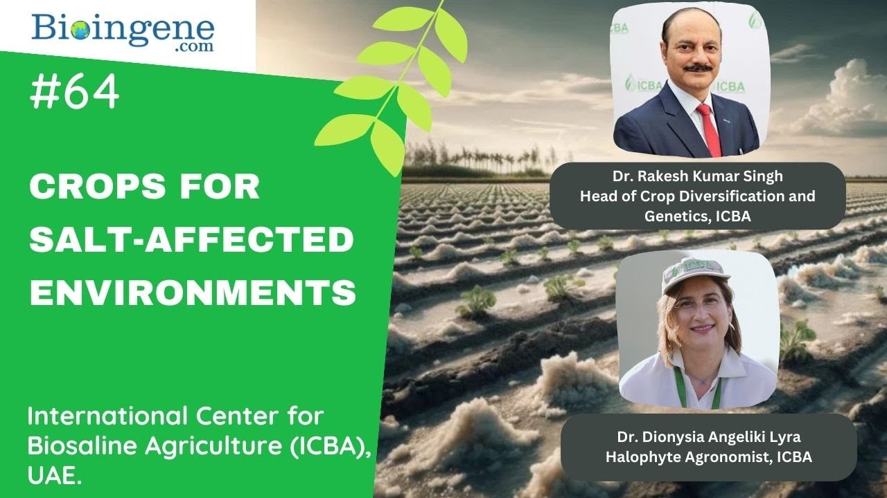 International Webinar on De-novo Domestication of Crops for Salt-affected Environments
