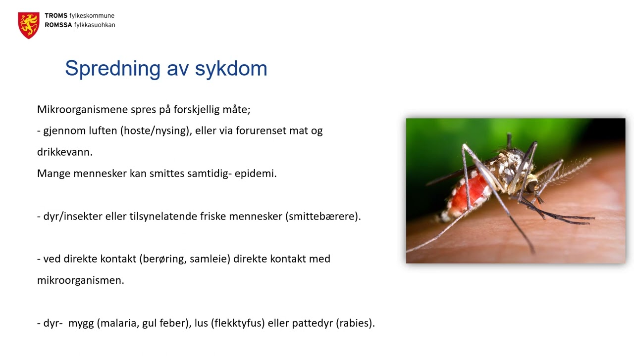 Smitte- kort oppsummert vg2 helseservice