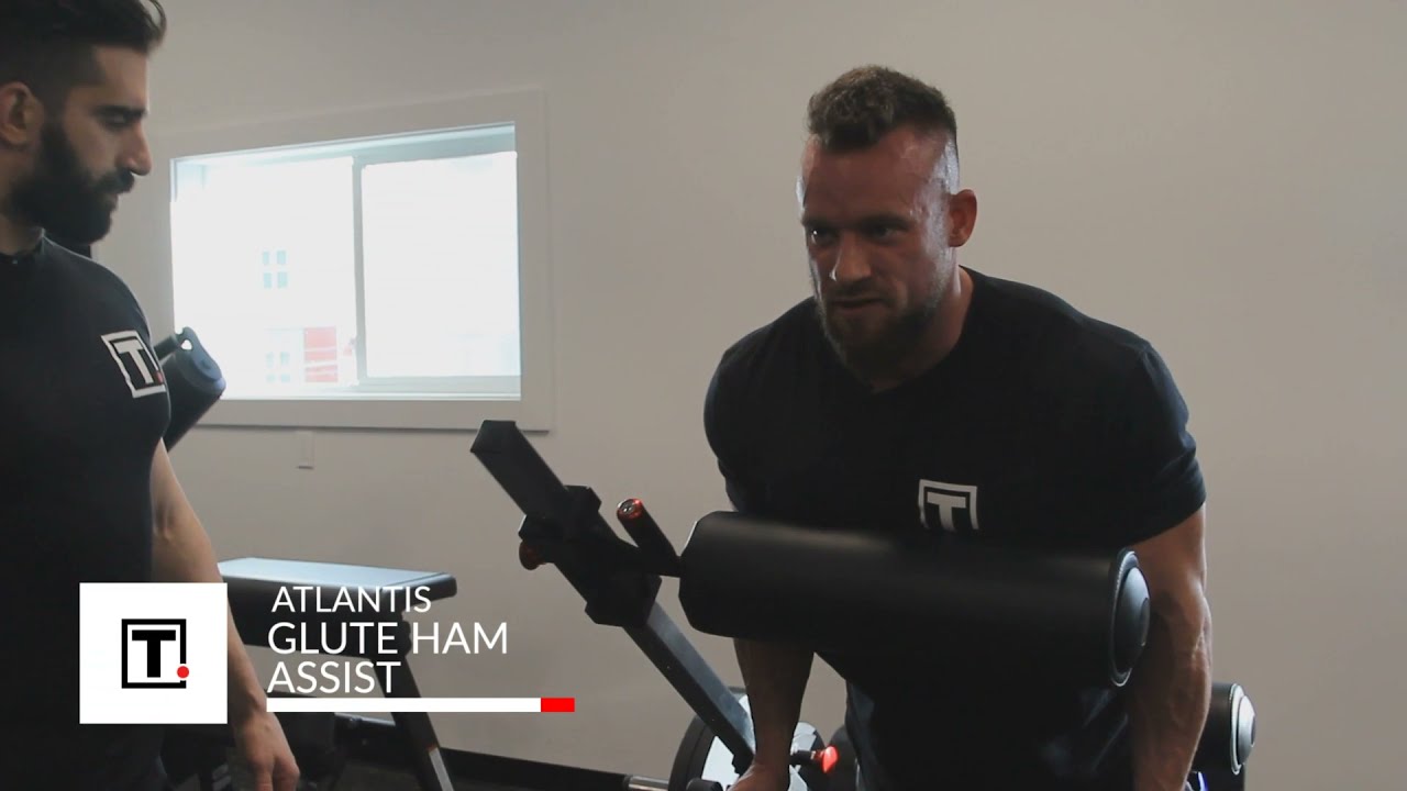 Truth Gym Gallery | Atlantis Glute Ham Assist