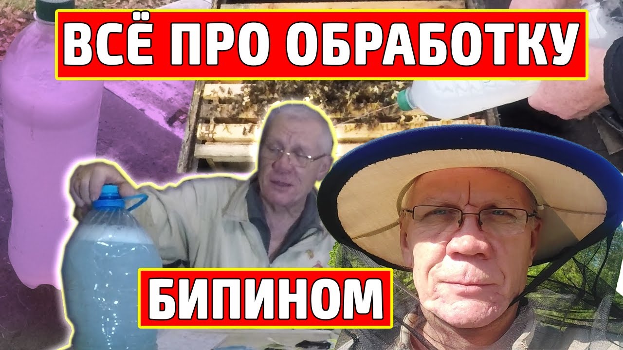 Бипин от клеща Варроа. Как ПРАВИЛЬНО обрабатывать пчел Бипином?