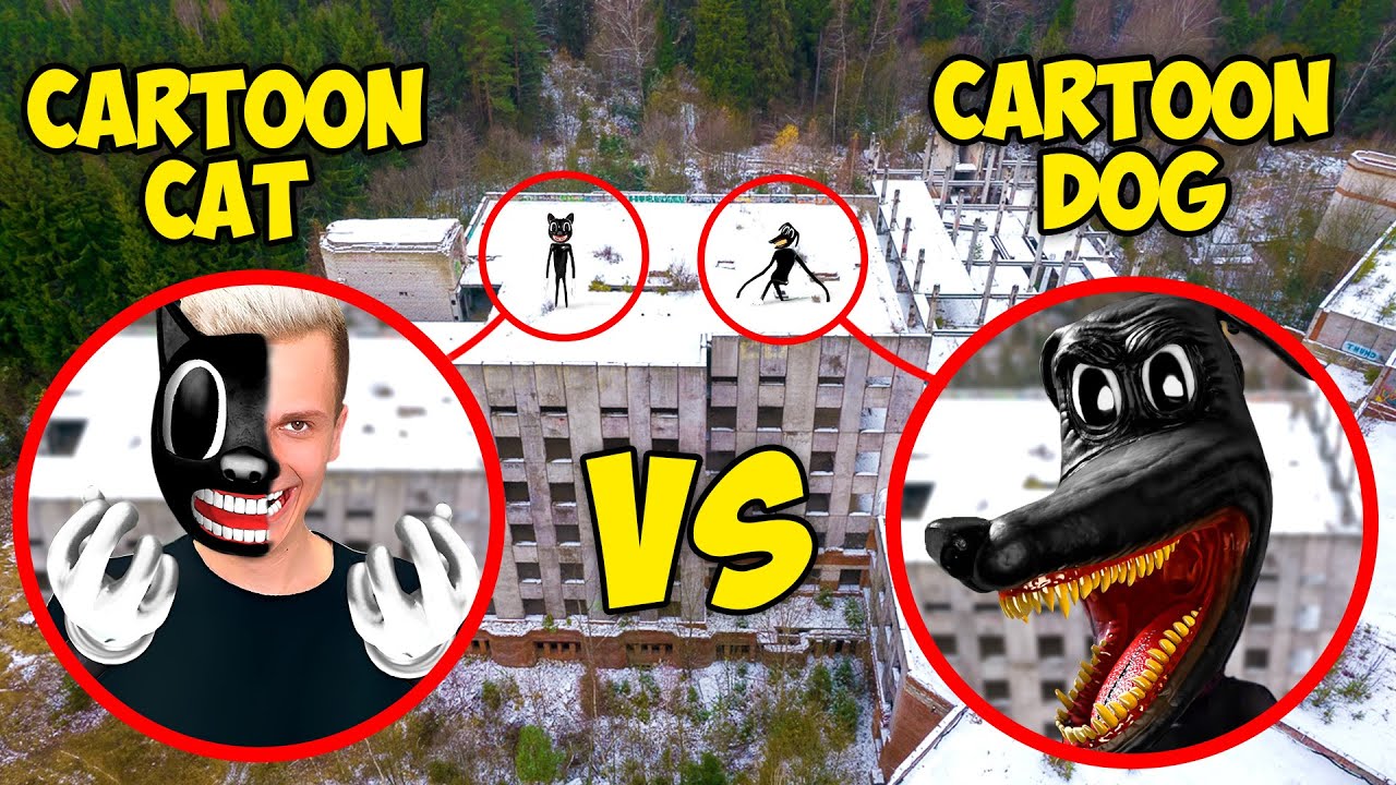 HAT CARTOON CAT gegen CARTOON DOG verloren? CARTOON DOG hat mich in der Realen Welt entführt!