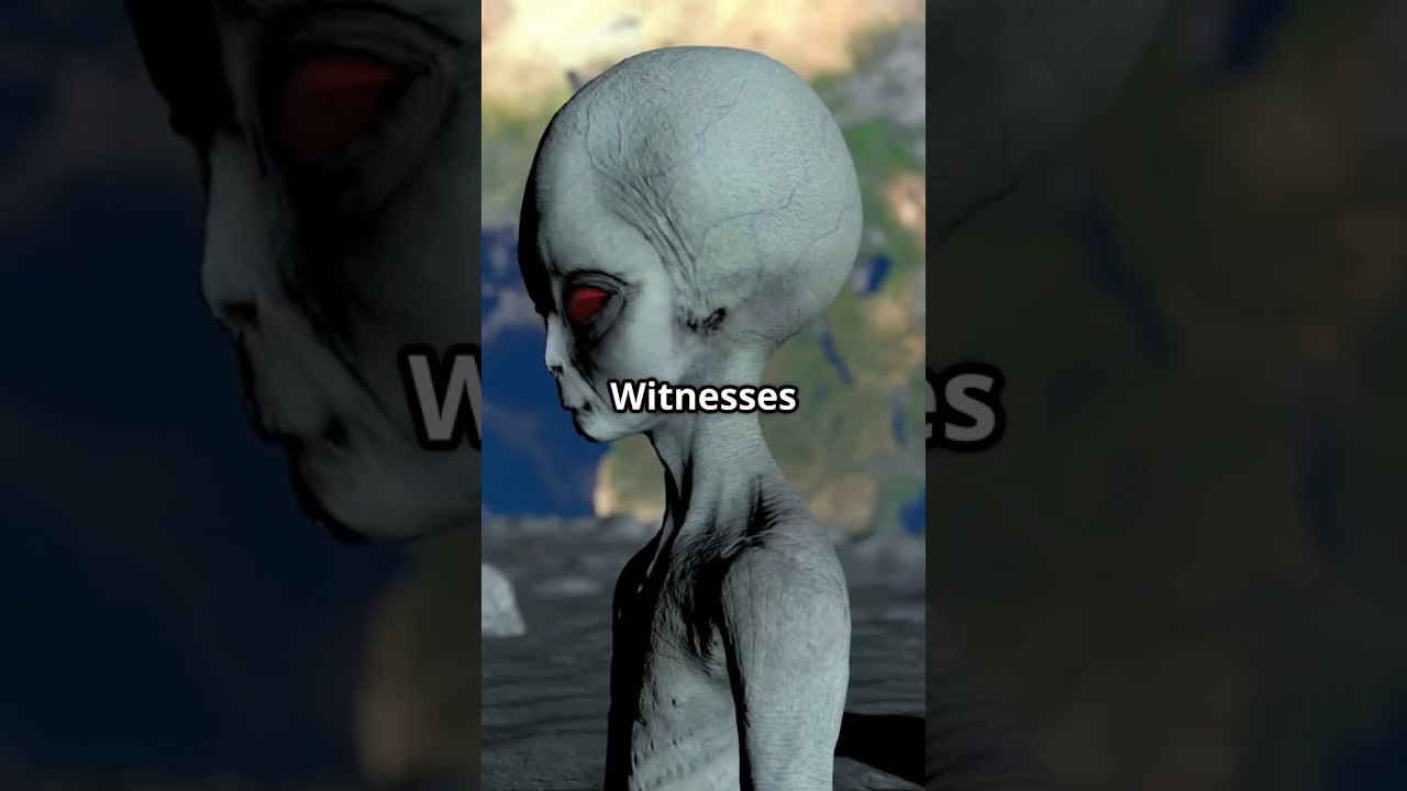 Alien Crash in Brazil: The Varginha Mystery