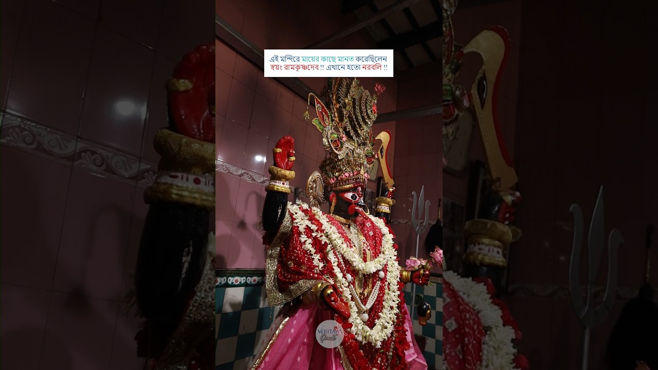 Incredible history of Siddheswari Maa Kali Temple #shorts #travel #minivlog #viralshorts #kolkata